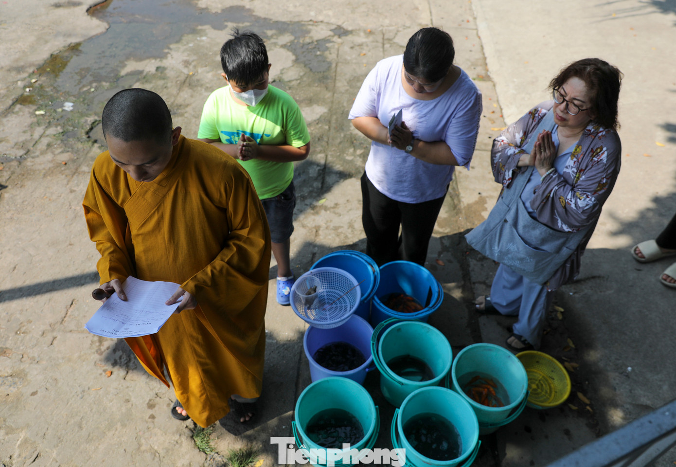 Theo quan niệm Phật giáo, tập tục mua cá chép sống và phóng sinh sau khi cúng ông Công ông Táo thể hiện sự nhân văn, đề cao sự thiện lương của con người. Việc dùng cá chép thật tiễn Táo quân lên trời cũng mang ý nghĩa tạo công ăn việc làm, thu nhập cho người dân.