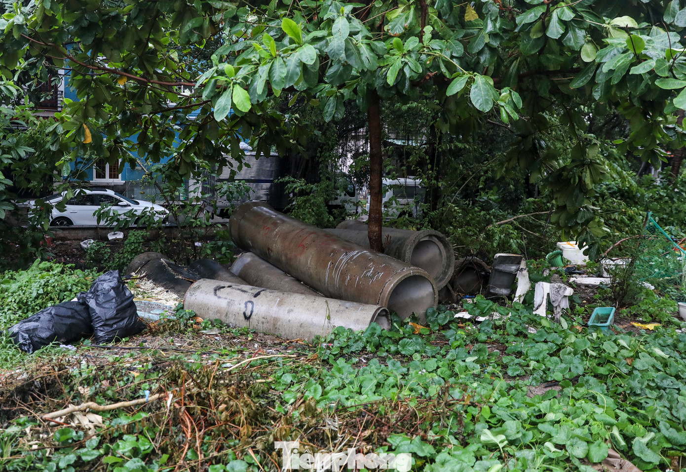 Công trình cũng bố trí 55 hố thu kết nối thoát nước dọc bờ và xây mới 9 cống xả, cống qua đường. Dọc hai bờ, dự án làm đường rộng 6m cùng vỉa hè và hệ thống thoát nước; chiếu sáng, lan can.