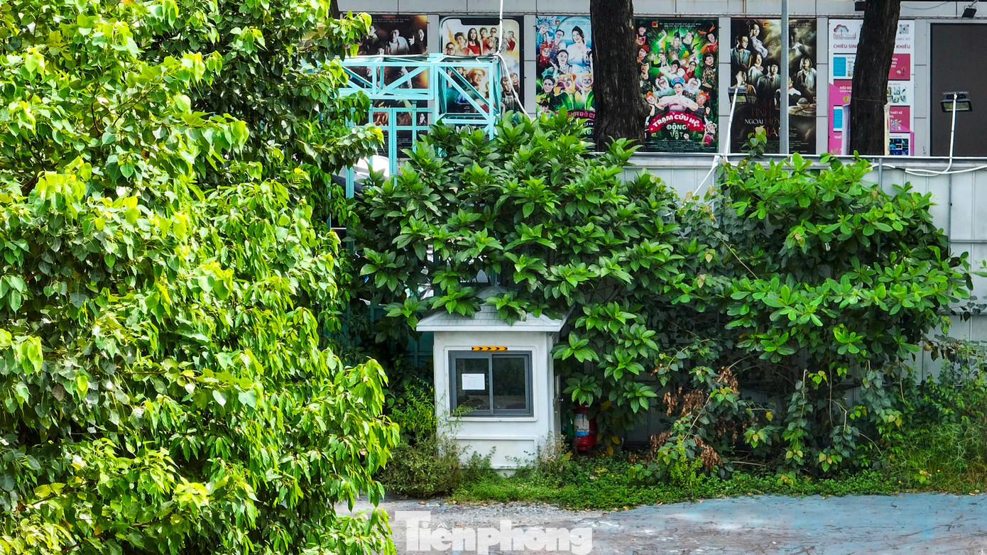 Bên trong khu đất, nhiều vật dụng bị bỏ rải rác khắp nơi, không có dấu hiệu thi công. Bên trong khu đất, nhiều vật dụng bị bỏ rải rác khắp nơi, không có dấu hiệu thi công.