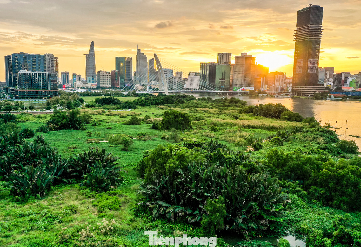 Theo ghi nhận của Tiền Phong, khu đất hiện hữu là thảm thực vật tự nhiên, có địa hình không bằng phẳng, thấp dần về phía bờ sông Sài Gòn.