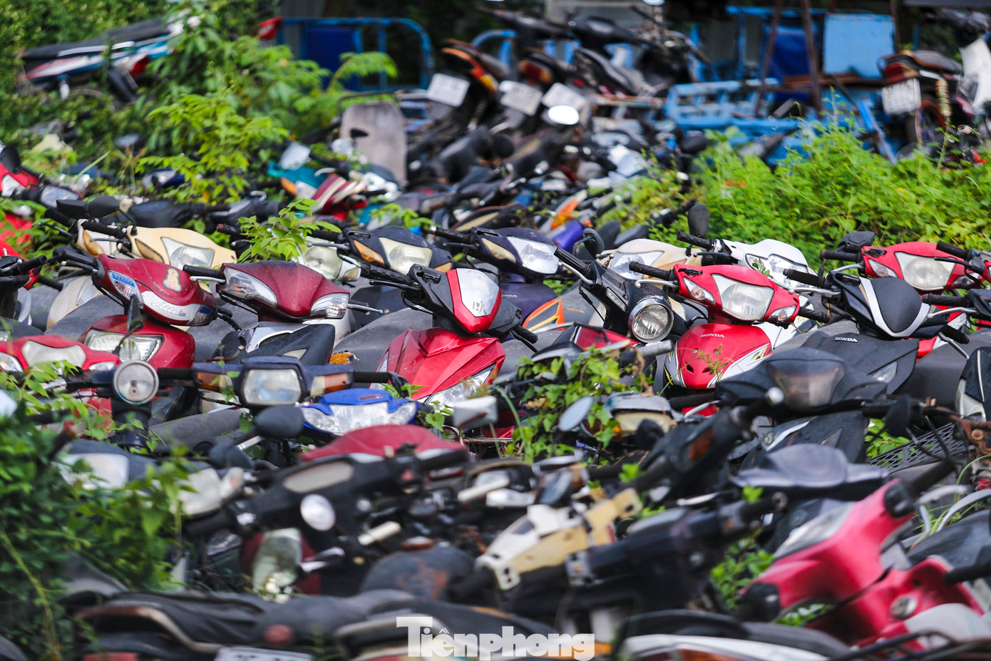 Hàng chục nghìn phương tiện các loại như xe máy, xe tải, ô tô, xe ba gác,... vi phạm giao thông bị tạm giữ đang chất đống ở nhiều kho tang vật và phương tiện vi phạm.