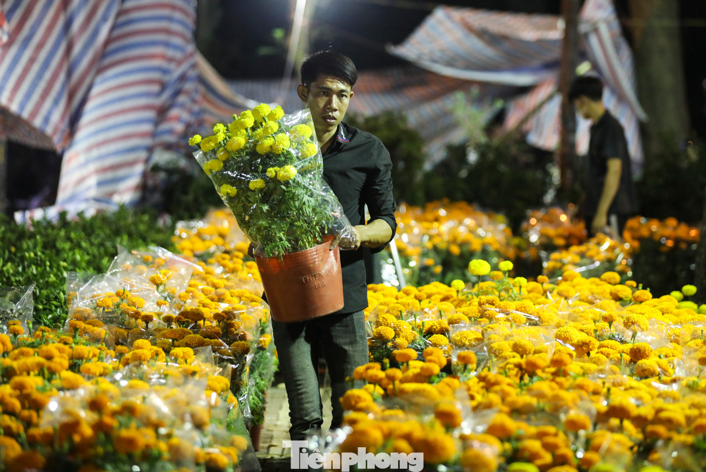 Các tiểu thương cẩn thận chăm sóc từng chậu bông với mong muốn khách hàng sẽ ghé mua nhiều hơn.
