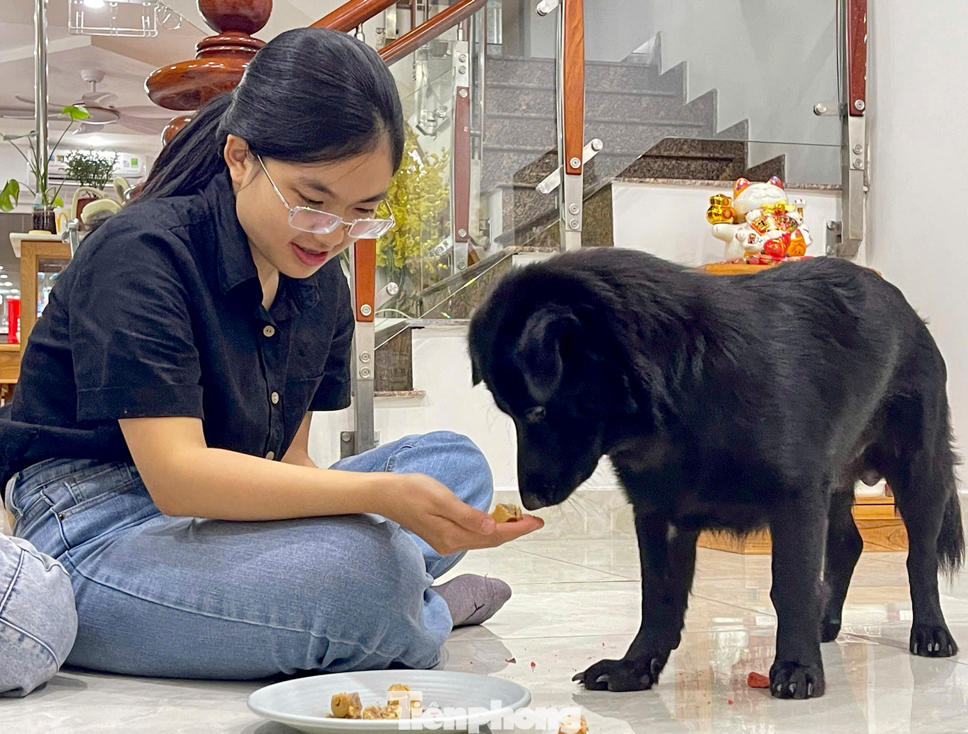 Chị Trúc Ngân (khách hàng tiệm bánh) cho biết: "Khi thấy bé nhà mình ăn được nhiều mẫu bánh từ cửa hàng, mình cảm thấy rất là vui, vì trước đó bé rất kén ăn. Từ khi biết đến bánh kem của tiệm thì Lucky (tên thú cưng của Ngân) đã có cơ hội được thưởng thức bánh kem, bánh trung thu vào những dịp đặc biệt và bé thật sự khá thích loại bánh này". Chị Trúc Ngân (khách hàng tiệm bánh) cho biết: "Khi thấy bé nhà mình ăn được nhiều mẫu bánh từ cửa hàng, mình cảm thấy rất là vui, vì trước đó bé rất kén ăn. Từ khi biết đến bánh kem của tiệm thì Lucky (tên thú cưng của Ngân) đã có cơ hội được thưởng thức bánh kem, bánh trung thu vào những dịp đặc biệt và bé thật sự khá thích loại bánh này".