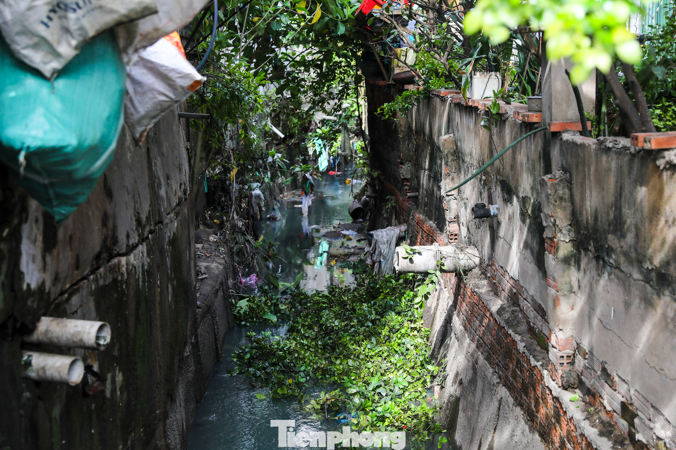 Diện tích các vùng tích trữ nước tạm thời giảm, hệ thống thoát nước chưa xây dựng hoàn chỉnh để đáp ứng yêu cầu tiêu thoát nước dẫn đến khi mưa kết hợp triều cường, nước không kịp thoát và gây ngập