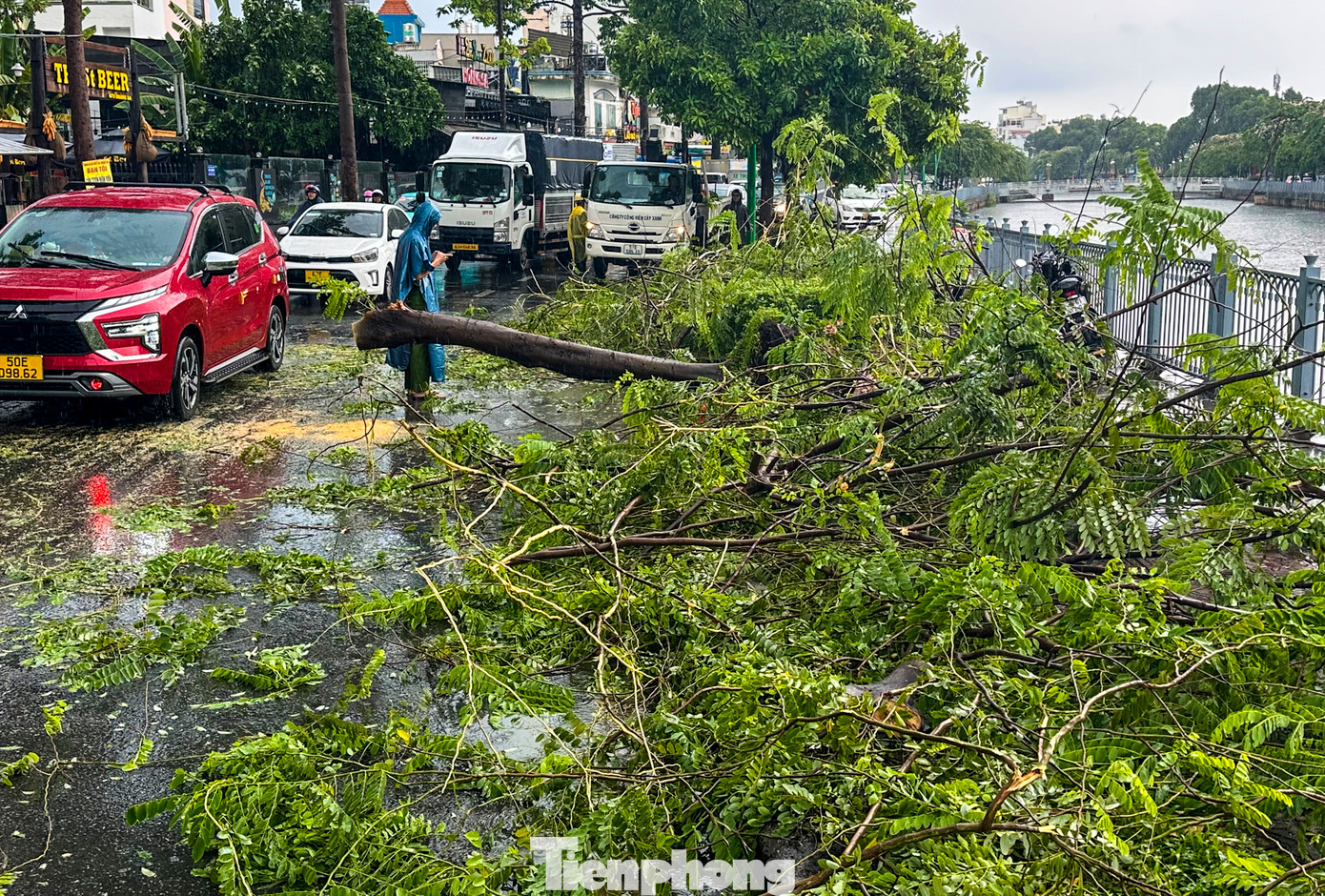 Hơn 13h, bầu trời TPHCM tối sầm, cơn mưa lớn trút xuống nhiều khu vực. Mưa giông lớn khiến một số cây xanh trên đường Hoàng Sa (quận 3) bị bật gốc. Hơn 13h, bầu trời TPHCM tối sầm, cơn mưa lớn trút xuống nhiều khu vực. Mưa giông lớn khiến một số cây xanh trên đường Hoàng Sa (quận 3) bị bật gốc.
