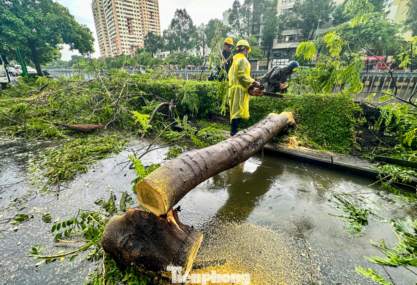 Được người dân phản ánh, lực lượng chức năng đã có mặt kịp thời để dọn dẹp hiện trường. Được người dân phản ánh, lực lượng chức năng đã có mặt kịp thời để dọn dẹp hiện trường.