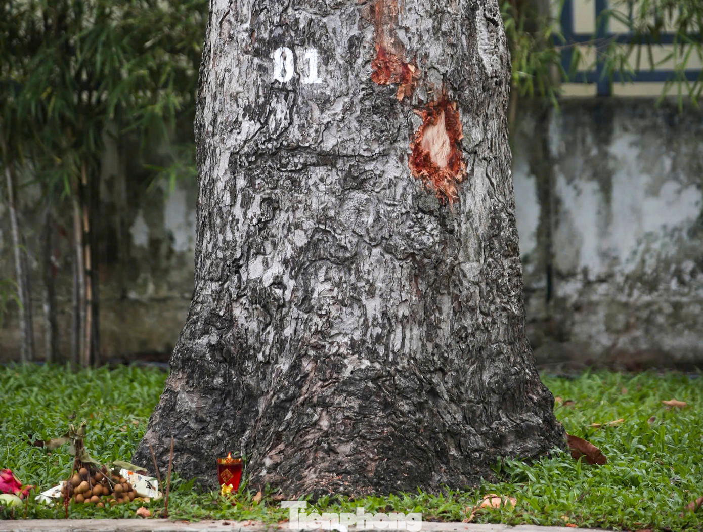 Vụ việc khiến 2 người chết tại chỗ và 3 người khác bị thương phải nhập viện cấp cứu.