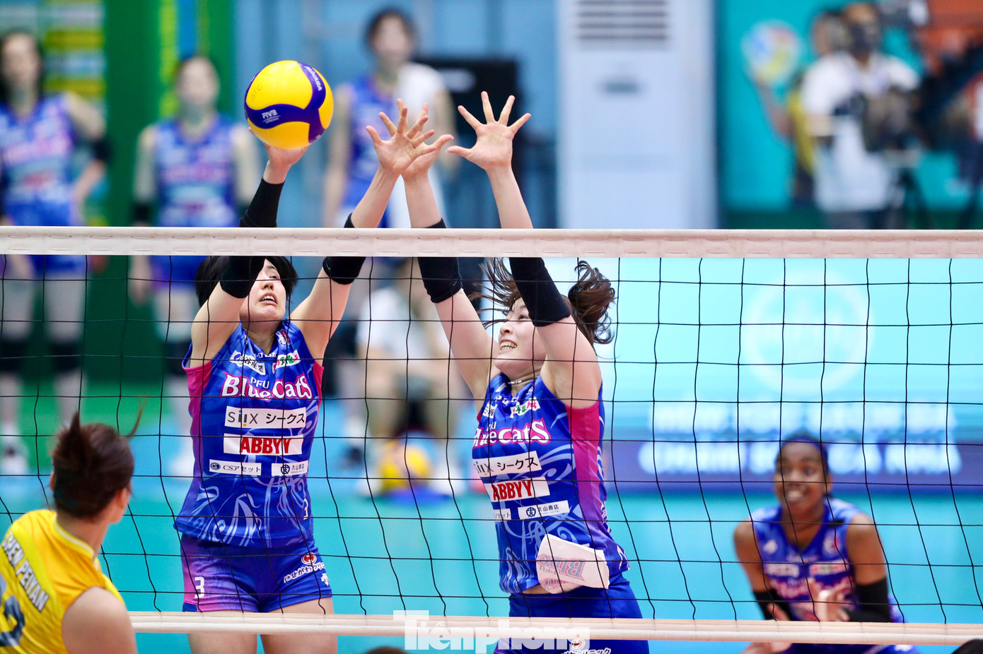 PFU Blue Cats có chiều cao trung bình hơn 1,72m, thấp hơn đội chủ nhà gần 4cm. Tuy nhiên, đội bóng Nhật Bản có những pha phối hợp tấn công ghi điểm biến hóa và những cú đập uy lực.