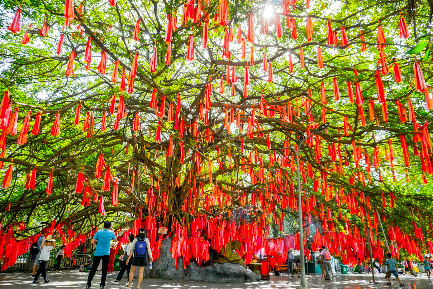 Những ngày cuối năm, nhiều gia đình và các bạn trẻ đổ xô đến cây Ước Nguyện hơn 300 năm tuổi tại khu du lịch Văn hóa Suối Tiên (TP Thủ Đức, TPHCM) để gửi những lời mong cầu cho tình yêu, hạnh phúc, tài lộc cho năm mới.