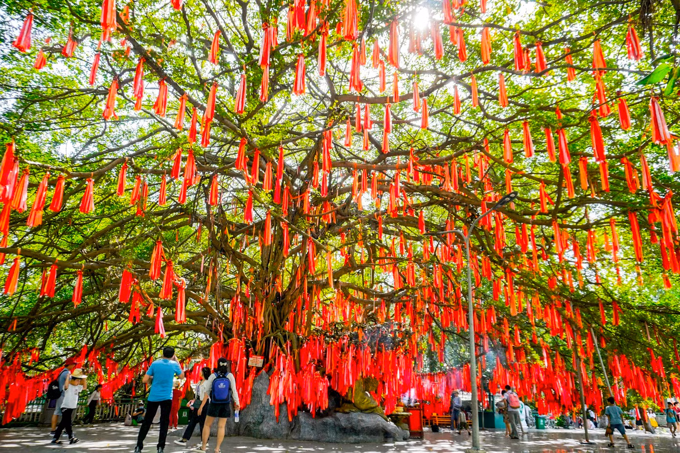 Những ngày cuối năm, nhiều gia đình và các bạn trẻ đổ xô đến cây Ước Nguyện hơn 300 năm tuổi tại khu du lịch Văn hóa Suối Tiên (TP Thủ Đức, TPHCM) để gửi những lời mong cầu cho tình yêu, hạnh phúc, tài lộc cho năm mới. Những ngày cuối năm, nhiều gia đình và các bạn trẻ đổ xô đến cây Ước Nguyện hơn 300 năm tuổi tại khu du lịch Văn hóa Suối Tiên (TP Thủ Đức, TPHCM) để gửi những lời mong cầu cho tình yêu, hạnh phúc, tài lộc cho năm mới.