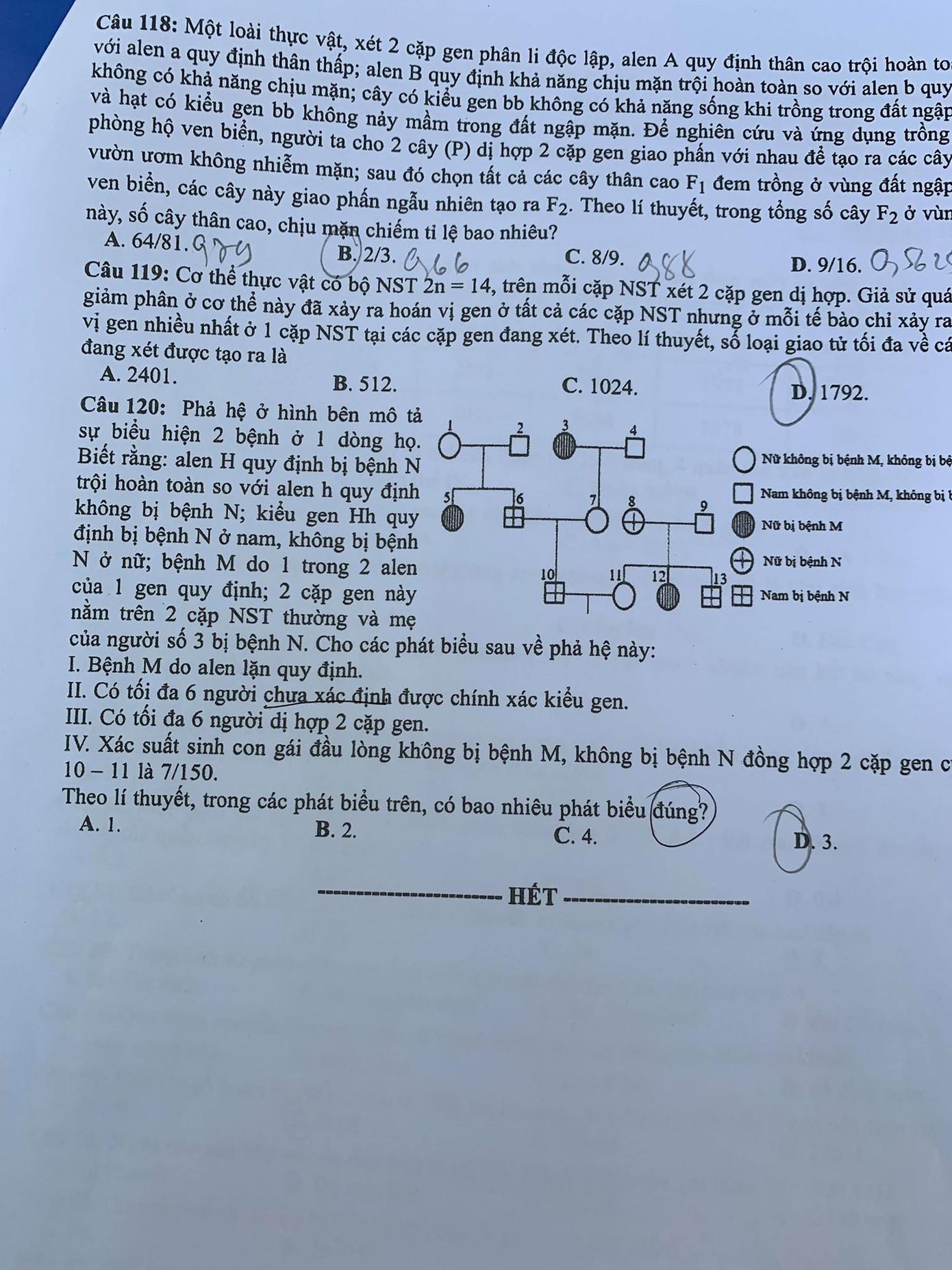 Đề Ngoại ngữ dễ thở, nhiều thí sinh thở phào tự tin đạt 8 điểm ảnh 35