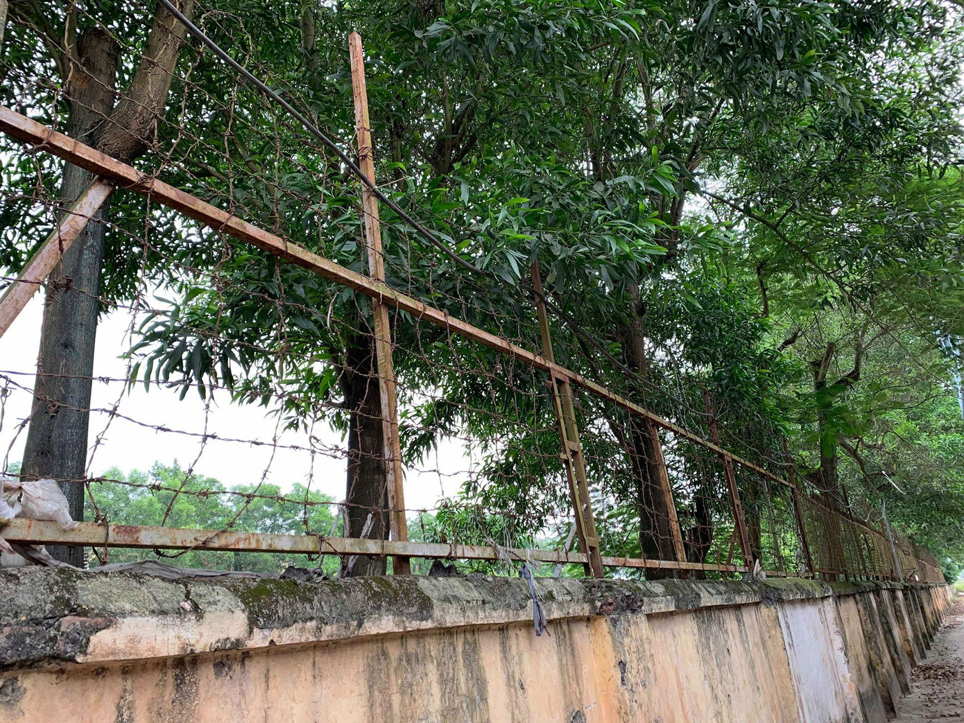 Thí sinh hào hứng làm thủ tục nhập thi THPT quốc gia 2019 ảnh 4