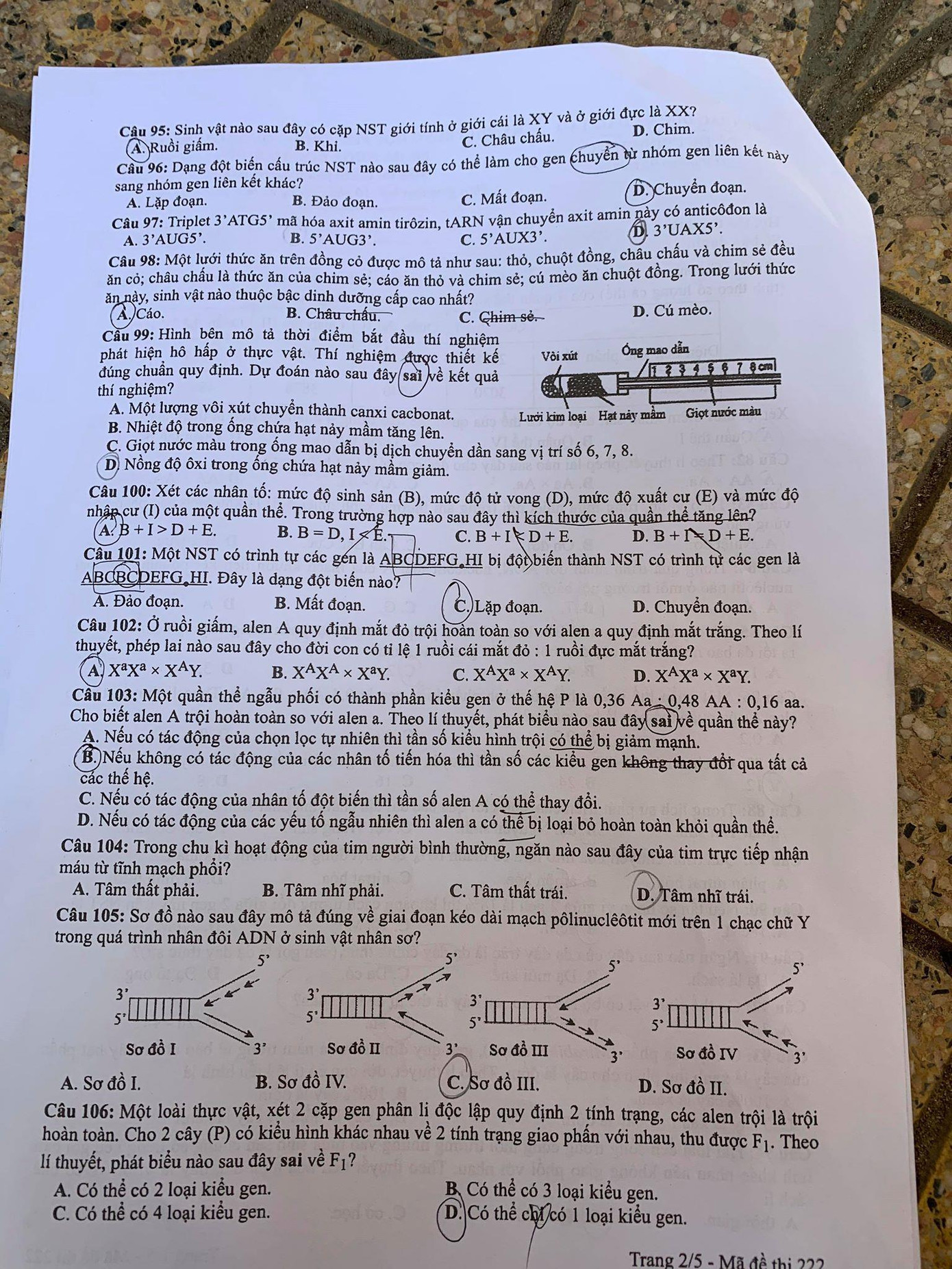 Đề Ngoại ngữ dễ thở, nhiều thí sinh thở phào tự tin đạt 8 điểm ảnh 32