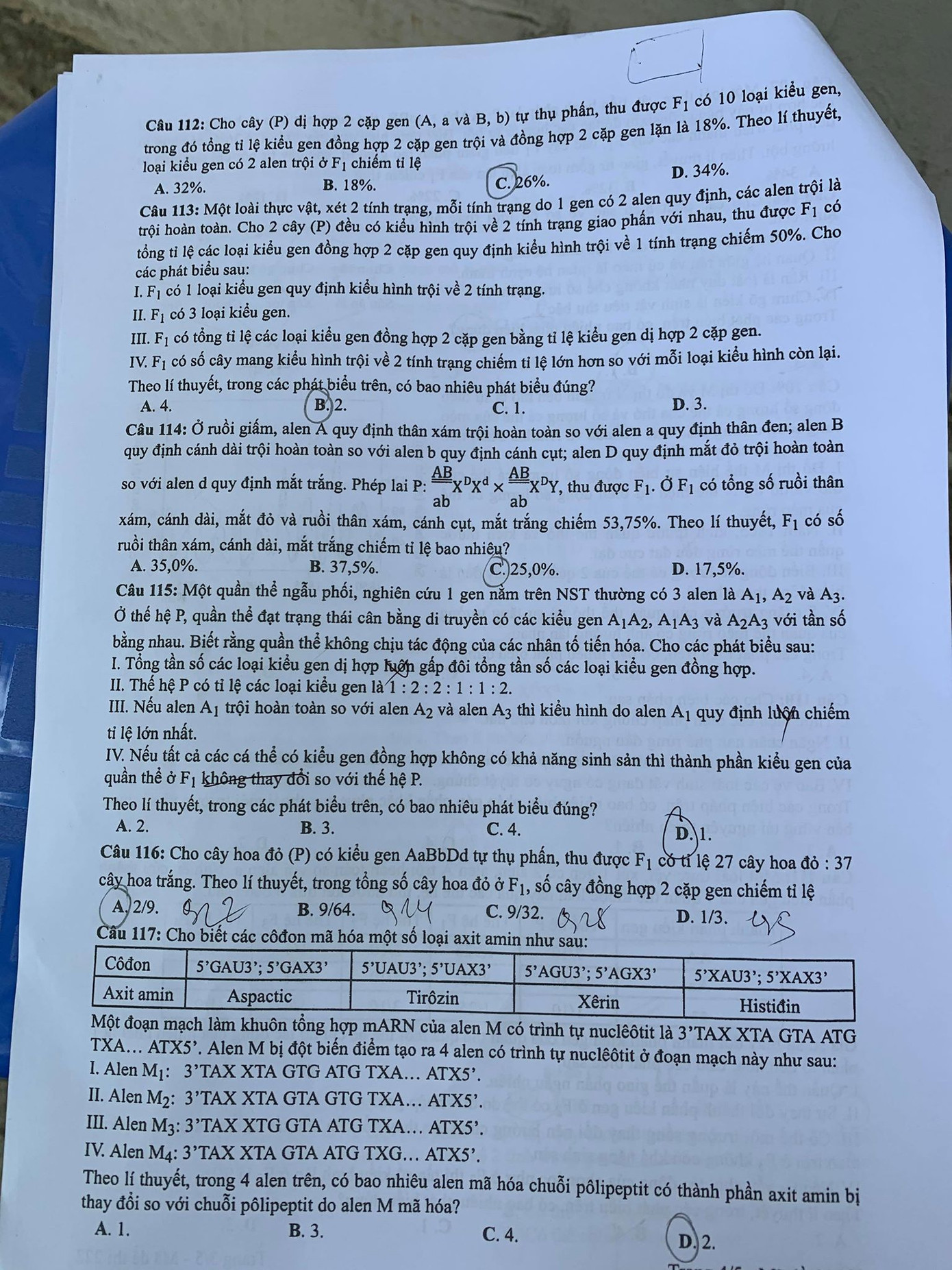 Đề Ngoại ngữ dễ thở, nhiều thí sinh thở phào tự tin đạt 8 điểm ảnh 34
