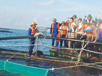 Lồng cá nuôi thử nghiệm ở lòng hồ đảo Đá Tây. Lồng cá nuôi thử nghiệm ở lòng hồ đảo Đá Tây