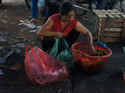 Hoa quả dập thối, được lượm ở lối đi