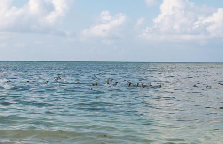 Ấn tượng vẻ đẹp Trường Sa qua bộ ảnh của chàng trai 8X ảnh 6 Ấn tượng vẻ đẹp Trường Sa qua bộ ảnh của chàng trai 8X ảnh 6