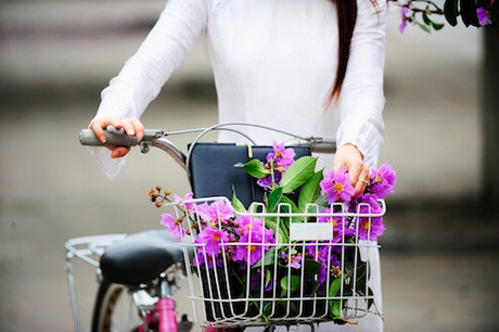 Chia tay nhé, bằng lăng ơi… ảnh 1 Chia tay nhé, bằng lăng ơi… ảnh 1