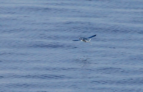 Ấn tượng vẻ đẹp Trường Sa qua bộ ảnh của chàng trai 8X ảnh 5 Ấn tượng vẻ đẹp Trường Sa qua bộ ảnh của chàng trai 8X ảnh 5