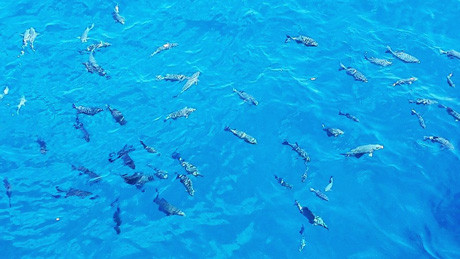 Ấn tượng vẻ đẹp Trường Sa qua bộ ảnh của chàng trai 8X ảnh 3 Ấn tượng vẻ đẹp Trường Sa qua bộ ảnh của chàng trai 8X ảnh 3