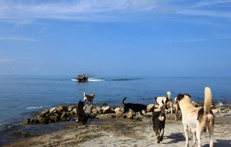 Ấn tượng vẻ đẹp Trường Sa qua bộ ảnh của chàng trai 8X ảnh 13 Ấn tượng vẻ đẹp Trường Sa qua bộ ảnh của chàng trai 8X ảnh 13