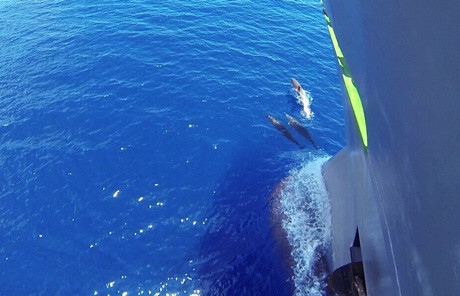 Ấn tượng vẻ đẹp Trường Sa qua bộ ảnh của chàng trai 8X ảnh 2 Ấn tượng vẻ đẹp Trường Sa qua bộ ảnh của chàng trai 8X ảnh 2