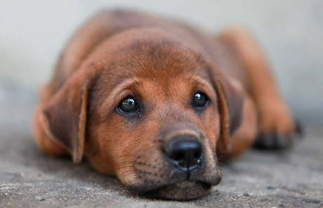 Ấn tượng vẻ đẹp Trường Sa qua bộ ảnh của chàng trai 8X ảnh 14 Ấn tượng vẻ đẹp Trường Sa qua bộ ảnh của chàng trai 8X ảnh 14