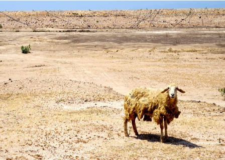 Khoan giếng tìm nước giữa lòng hồ ảnh 1