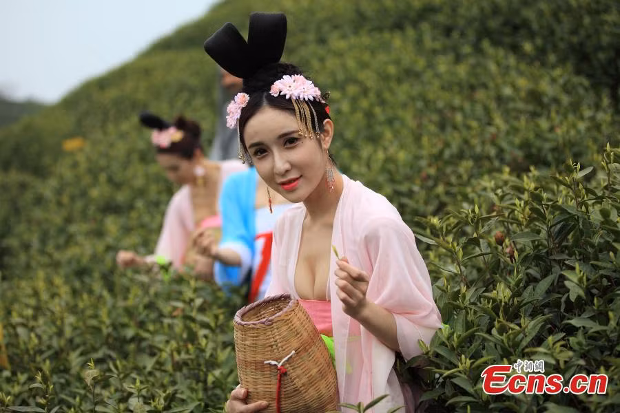 Mỹ nữ Trung Quốc diện y phục cung đình lên núi hái chè ảnh 4