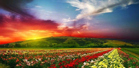 10 'thiên đường sắc màu' long lanh nhất trên Trái Đất ảnh 7