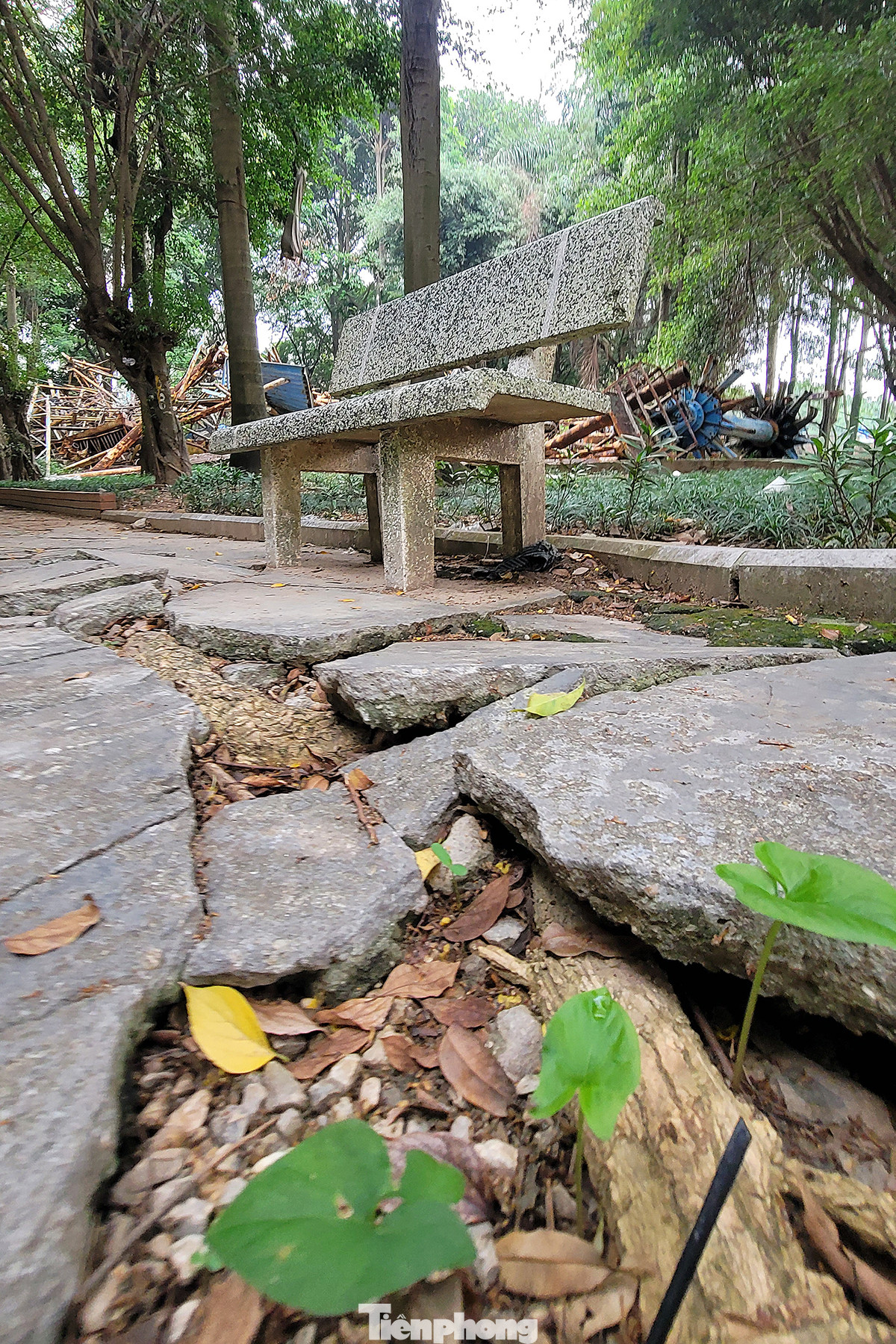 Nhiều đoạn lòng đường, vỉa hè trong công viên Tuổi Trẻ xuống cấp trầm trọng.