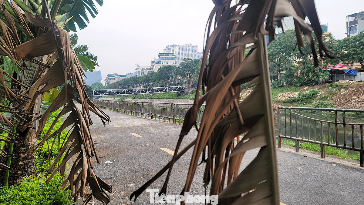 Tuy nhiên hiện trạng nhếch nhác dọc tuyến đường này khiến người dân "ngại" di chuyển qua đây.