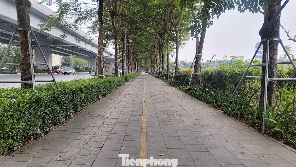 Để tổ chức làn xe đạp Sở GTVT Hà Nội kiến nghị UBND thành phố cần chỉ đạo cho sửa chữa vỉa hè, tạo đường ưu tiên cho xe đi hai chiều rộng 3m. Để tổ chức làn xe đạp Sở GTVT Hà Nội kiến nghị UBND thành phố cần chỉ đạo cho sửa chữa vỉa hè, tạo đường ưu tiên cho xe đi hai chiều rộng 3m.