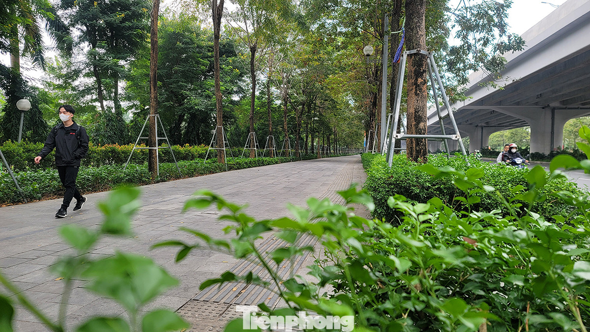 Tuyến đường này dành cho xe đạp khoảng 5,7 km, trong đó khu vực đi trên hè quanh công viên Hòa Bình 1,8 km, đi trên đường Hoàng Minh Thảo gần 4 km.