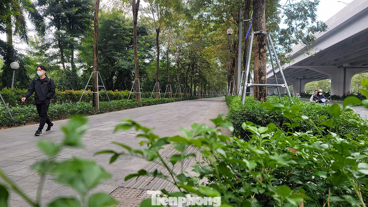 Tuyến đường này dành cho xe đạp khoảng 5,7 km, trong đó khu vực đi trên hè quanh công viên Hòa Bình 1,8 km, đi trên đường Hoàng Minh Thảo gần 4 km. Tuyến đường này dành cho xe đạp khoảng 5,7 km, trong đó khu vực đi trên hè quanh công viên Hòa Bình 1,8 km, đi trên đường Hoàng Minh Thảo gần 4 km.