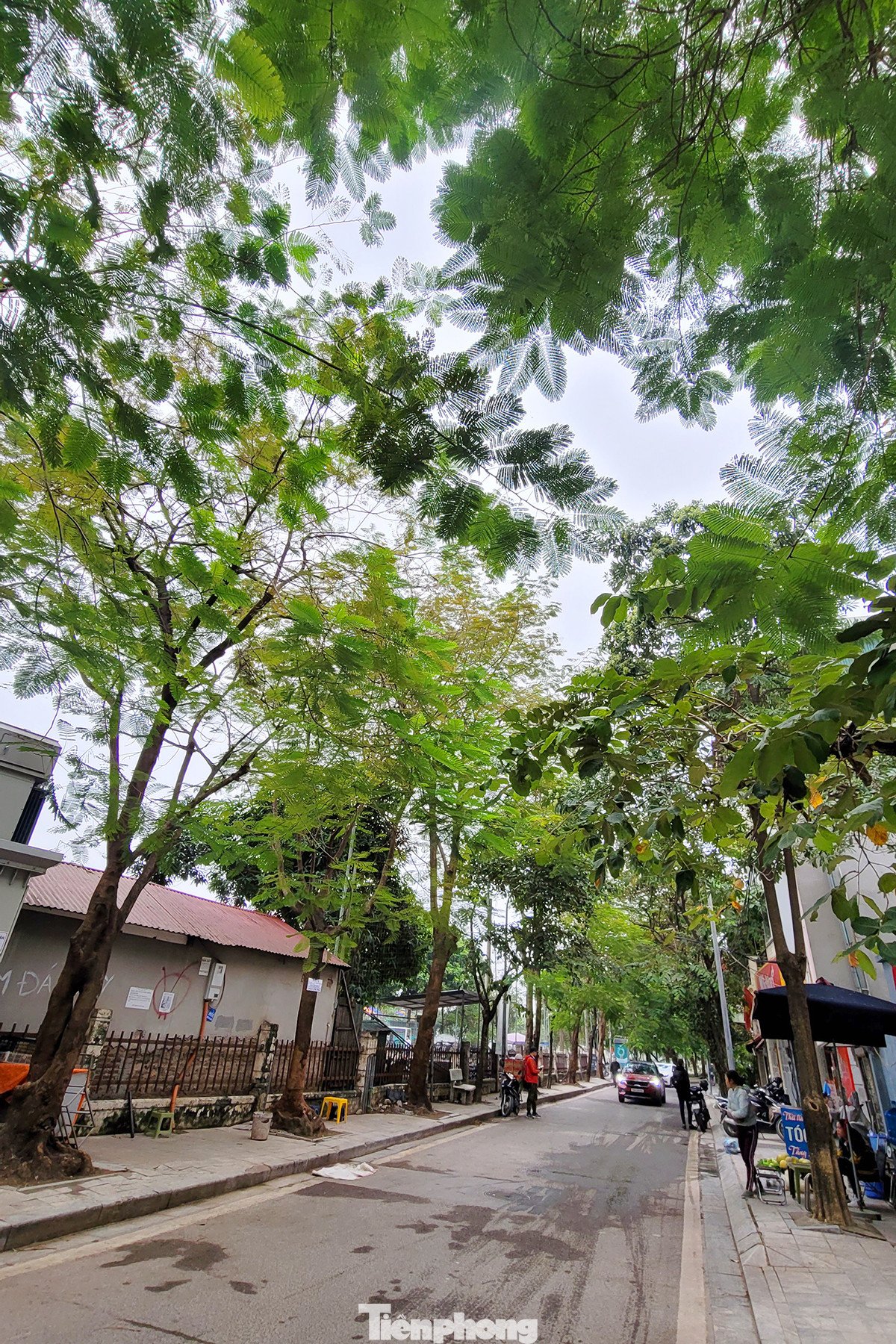 Bước đầu, không gian Văn hóa sáng tạo quận Tây Hồ và vùng phụ cận đã thu hút đông đảo người dân, tạo điểm đến mới cho người dân và du khách.