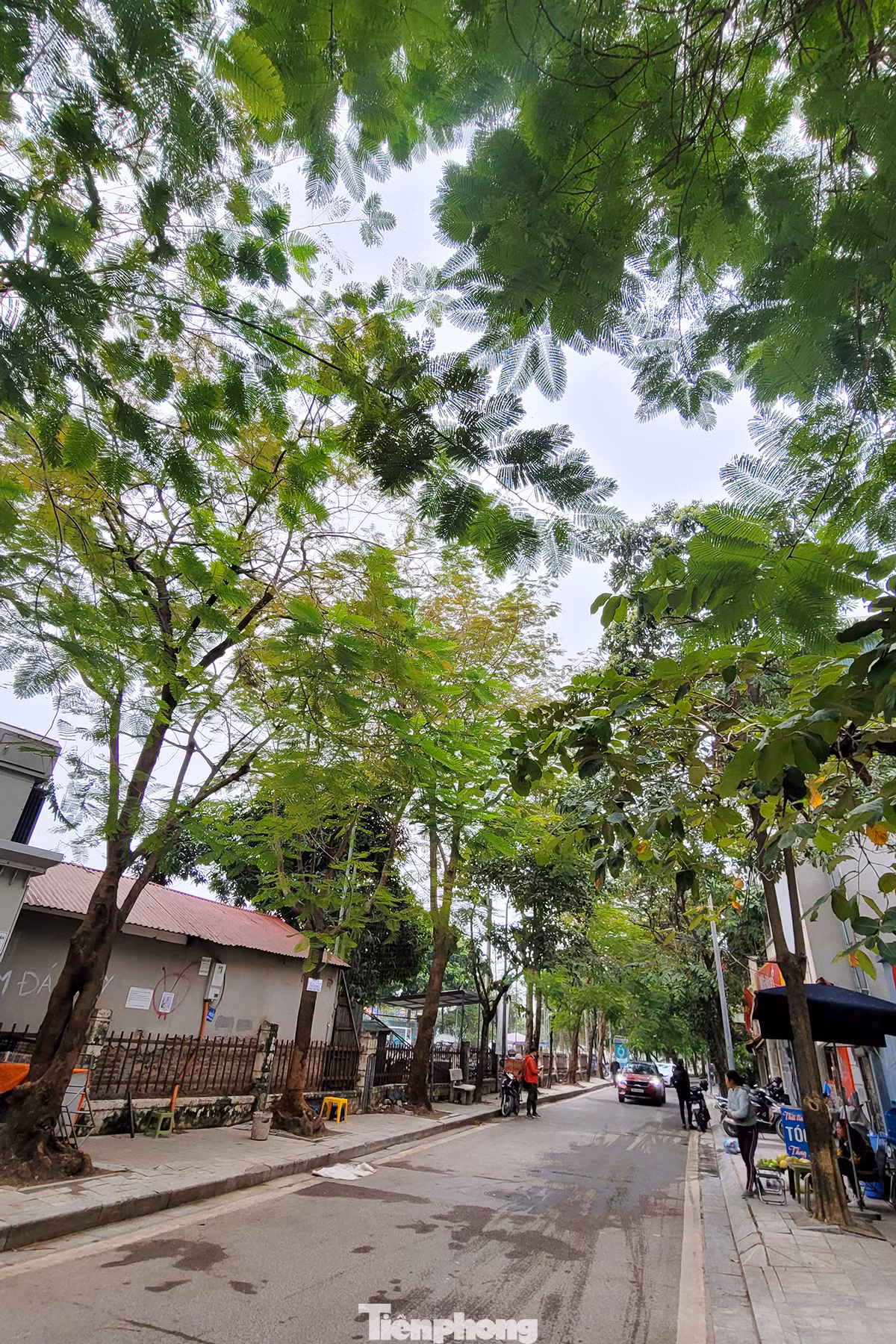 Bước đầu, không gian Văn hóa sáng tạo quận Tây Hồ và vùng phụ cận đã thu hút đông đảo người dân, tạo điểm đến mới cho người dân và du khách.