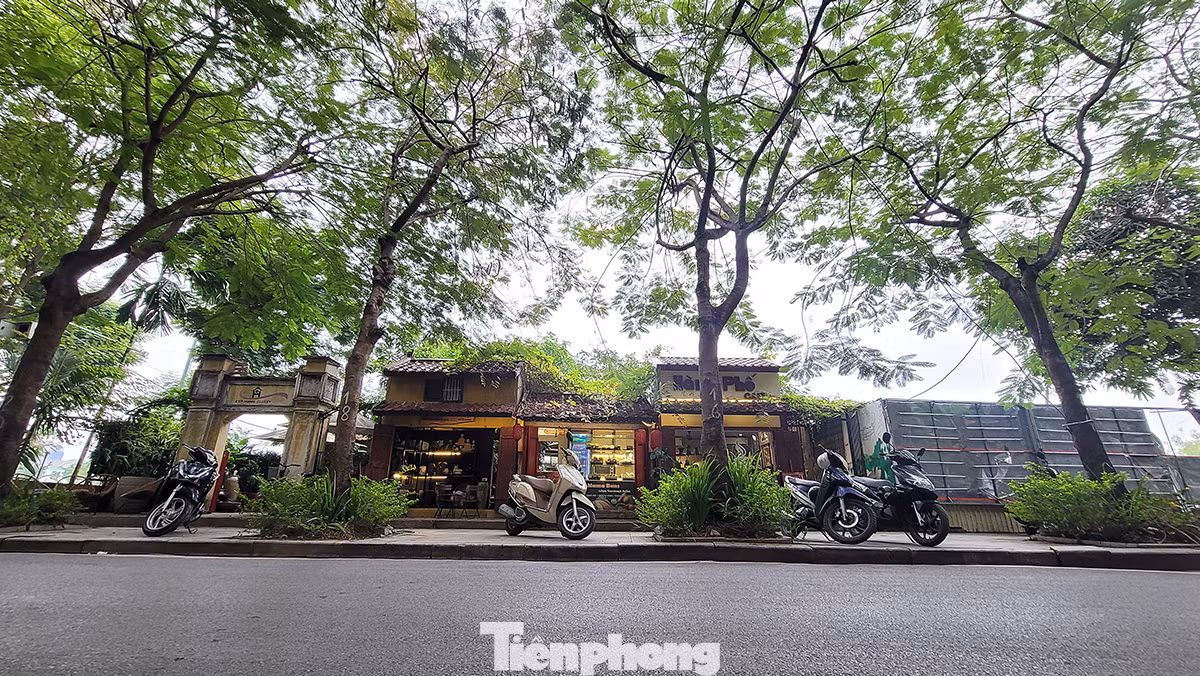Mong muốn của lãnh đạo quận Tây Hồ cũng như phường Nhật Tân là biến nơi đây trở thành nơi tổ chức các sự kiện văn hóa, nghệ thuật, ưu tiên các sự kiện có tính chất ngoại giao.