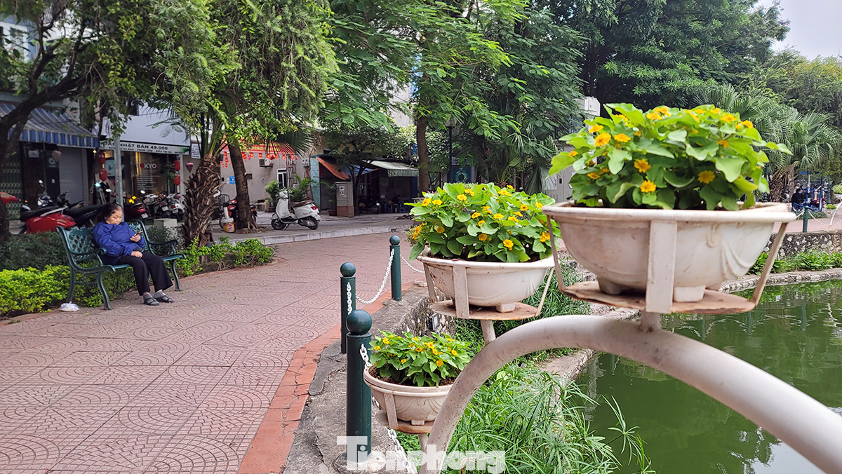 Hiện tại, không gian của phố đi bộ Trịnh Công Sơn và khu vực phụ cận đang hoạt động chưa thật sự hiệu quả và kém hấp dẫn.