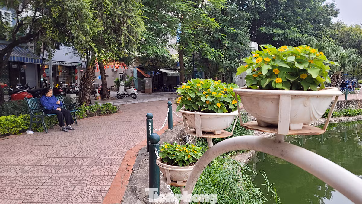 Hiện tại, không gian của phố đi bộ Trịnh Công Sơn và khu vực phụ cận đang hoạt động chưa thật sự hiệu quả và kém hấp dẫn.