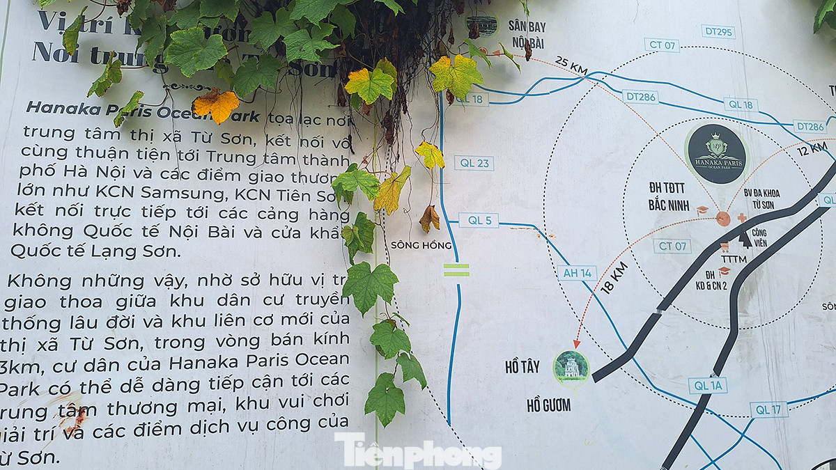 Theo giới thiệu của chủ đầu tư tại trang hanaka.com.vn, sau khi hoàn thiện, đây sẽ là trụ sở của các tập đoàn, siêu thị, văn phòng, khách sạn, showroom, căn hộ cao cấp, nhà hàng 400 chỗ với 2 sân tennis ngoài trời, 1 sân tennis trong nhà, khán đài 300 chỗ ngồi, 2 tòa căn hộ cao cấp để bán và văn phòng cho thuê...