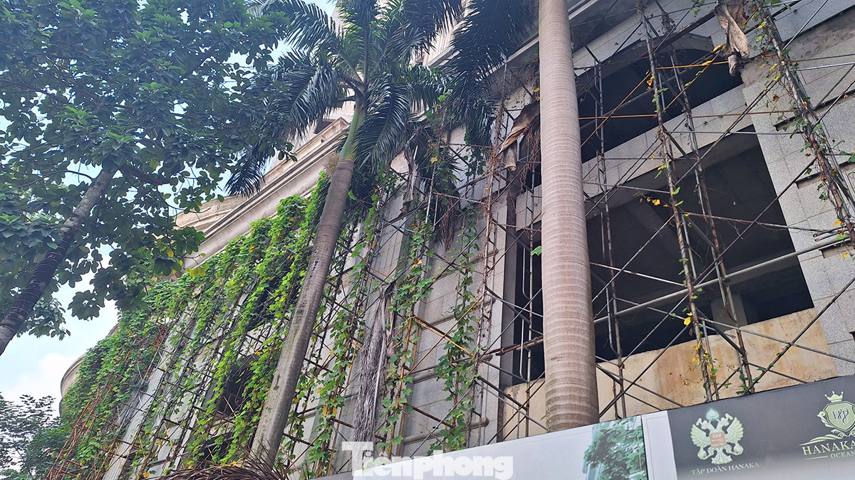 Công trình treo từ lâu nên tình trạng hoang hóa đang diễn ra nhanh chóng, cỏ dại leo kín giàn giáo.