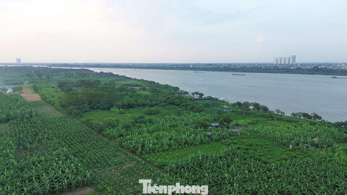 Bãi giữa sông Hồng đã khô cạn hàng chục năm qua, là điểm vui chơi ưa thích của nhiều người dân Hà Nội. Sau một thời gian nhiều khu vực này bị khô cằn, cây cối đã mọc lên tươi tốt, thậm chí nhiều người "nhảy dù" xuống lấy đất trồng hoa màu. Bãi giữa sông Hồng đã khô cạn hàng chục năm qua, là điểm vui chơi ưa thích của nhiều người dân Hà Nội. Sau một thời gian nhiều khu vực này bị khô cằn, cây cối đã mọc lên tươi tốt, thậm chí nhiều người "nhảy dù" xuống lấy đất trồng hoa màu.