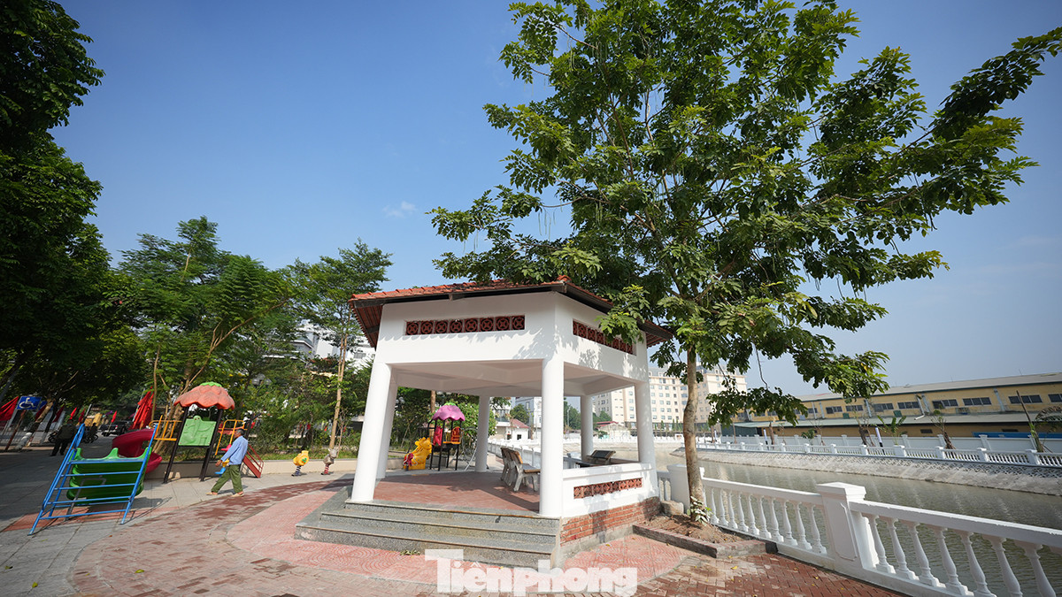 Đồng thời dự án công viên Lâm Hạ còn tạo cảnh quan môi trường trong khu vực.