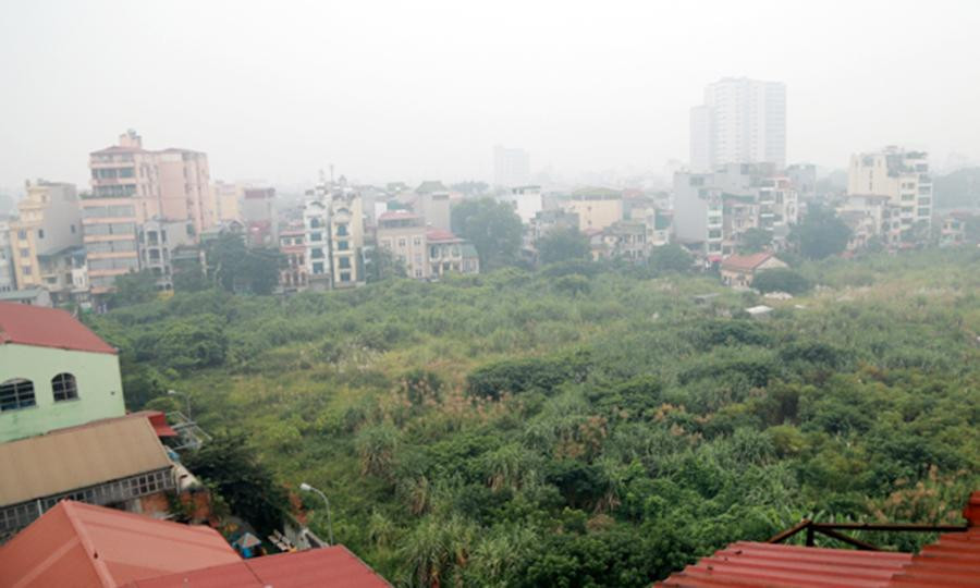 Cỏ dại mọc um tùm bên trong dự án 94 Lò Đúc.