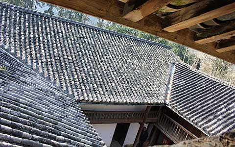 Nổi bật trong kiến trúc, điêu khắc trong ngôi dinh thự là ảnh hưởng nặng nề của thuốc phiện. Những vì kèo được khắc họa hình hoa anh túc. Một trong nhiều họa tiết khắc họa rõ hình hoa thuốc phiện - loài cây điển hình trong một thời kỳ ở vùng cao nguyên đá. Trong khu dinh thự họ Vương, các phiến đá kê cột nhà đều được tiện, gọt thành hình quả thuốc phiện. Sau khi mài nhẵn, chúng đều được dùng những đồng bạc trắng đánh cho bóng loáng, biến màu đá trắng thành màu đồng thau, gần như màu quả thuốc phiện đã phơi khô. Họa tiết trang trí trên đầu đao kèo nhà được tiện hình quả thuốc phiện. Kho thuốc phiện được Vua Mèo Vương Chính Đức cho xây dựng phía bên trái ngôi dinh thự dùng để cất trữ thuốc phiện - một biểu tượng quyền lực của quý tộc Mông. Phía trong căn hầm Vua Mèo dùng để chứa thuốc phiện. Chiếc bể tắm được đục đẽo công phu hình bán nguyệt từ đá nguyên khối mà tương tuyền vốn là bể tắm sữa dê cho bà vợ thứ nhất của vua Mèo. Vua Mèo Vương Chính Đức và đại gia đình quý tộc của ông.