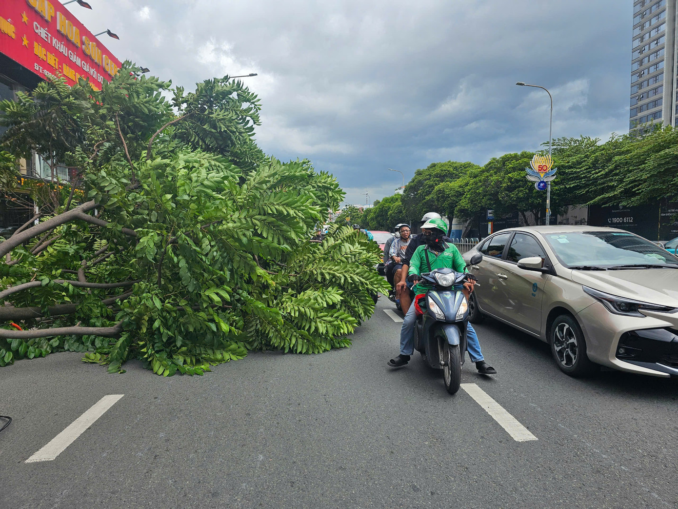 Tán cây ngã chắn một phần làn đường. Ảnh: CTV