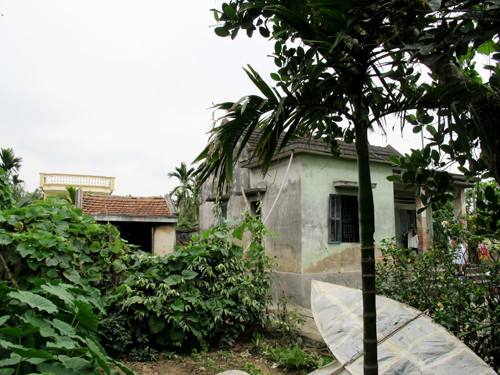 Ngôi nhà xảy ra thảm án nằm sâu giữa làng ngay cạnh cánh đồng lúa