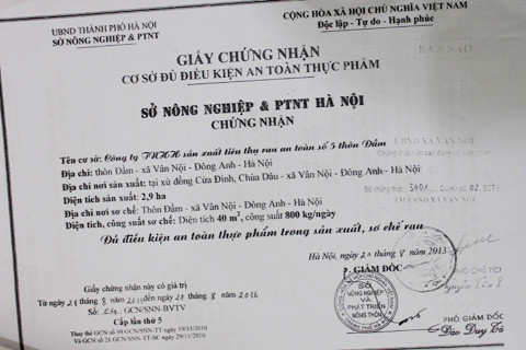 Hàng ngày vẫn mua rau bẩn, rau không rõ nguồn gốc cho siêu thị, trường học nhưng cơ sở của anh Bình vẫn được Sở NN&PTNT cấp giấy chứng nhận đủ điều kiện an toàn thực phẩm trong sản xuất, sơ chế rau