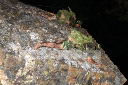  Bám chắc vào đá chẳng khác những chú thạch sùng 